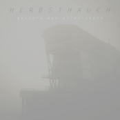 gestern war alles stein