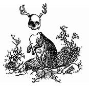 Qui / Secret Fun Club