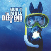 Gov't Mule: The Deep End, Vol. 2