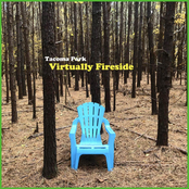 Virtually Fireside