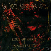 Real Sights, Realize, Real Lights