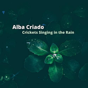 Crickets Singing in the Rain