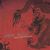Lump On Your Stump by Gov't Mule