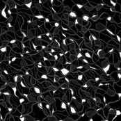 Gary War / Purple Pilgrims