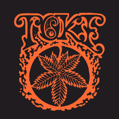 Toke: Orange