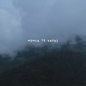 Nunca Te Vayas