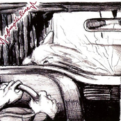 Perspective Of The World Through A Bird's Eye View