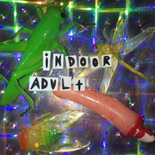 Indoor Adult "EP"