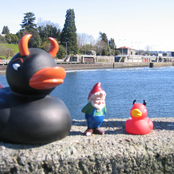 Mongoloid Gnome - The Best of 1998-2001