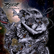 Despisers Of This Mortal Coil