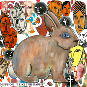 I Like This Rabbit