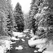 Slightly Larger Fish