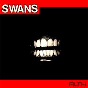 Freak by Swans