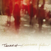 Saunders Hollow by Tanakh