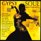 Gypsy Soul: New Flamenco