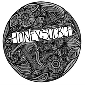 Honeysuckle: Honeysuckle