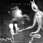 Everything You Know Is Wrong by Black Lung