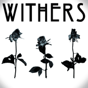 Withers