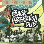 Dub In D Minor by Mad Professor