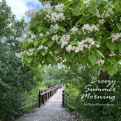 Breezy Summer Morning