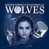 Wolves - Single Album Picture
