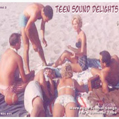 TEEN SOUND DELIGHTS VOL 2