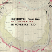 Sitkovetsky Trio: Beethoven: Piano Trios, Vol. 1