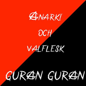 Anarki och valflesk.