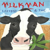 Can't Stop by Milkman