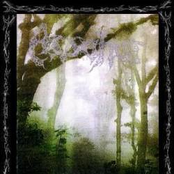 Meditation Embun Pagi