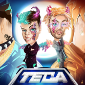 Teca