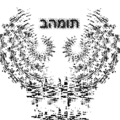 בהמות