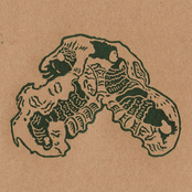 Carapace