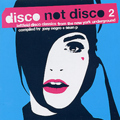 Disco Not Disco 2: Leftfield Disco Classics From The New York Underground