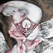 Perspectiva Invertalis