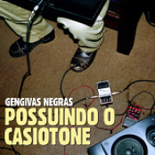 Possuindo o Casiotone