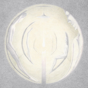 Slowly Forgetting, Barely Remembering