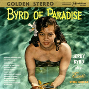 Bird Of Paradise by Jerry Byrd