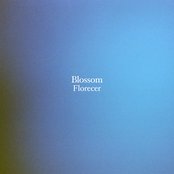 Blossom: Florecer