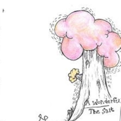 A Wonderful/ The Salt