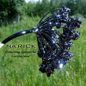 Ultrasonic by Narick