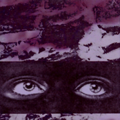 Honey Insulation - EP