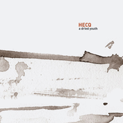 Fat Starving Data by Hecq