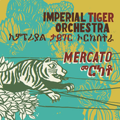 Yefikir Woha Timu by Imperial Tiger Orchestra
