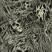 После жизни