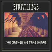 We Gather We Take Shape