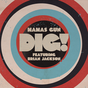 Mamas Gun