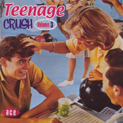 Teenage Crush, Vol. 3