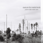 You're Only Static Now