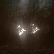 you can tear my hands off, if i can have them back